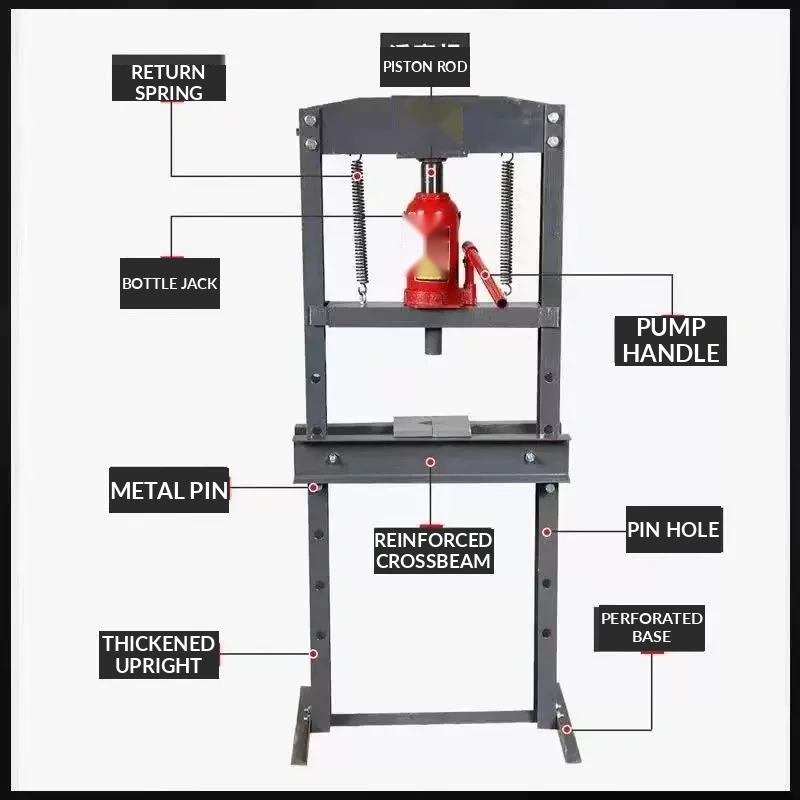 images.anatomy_alt