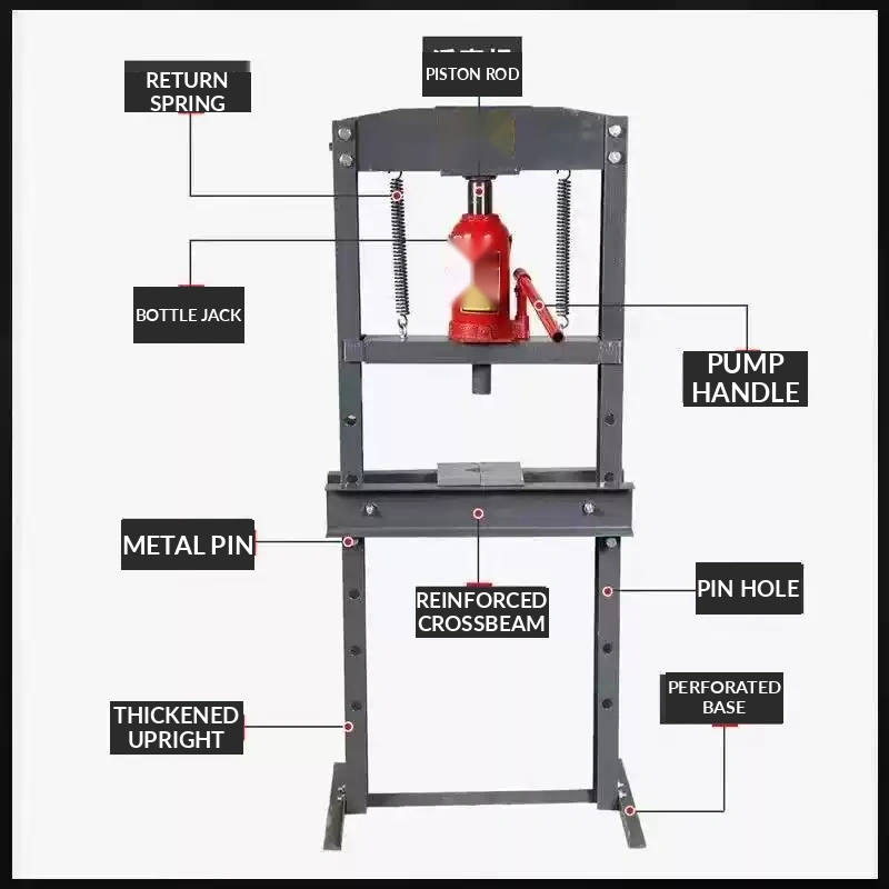 images.anatomy_alt